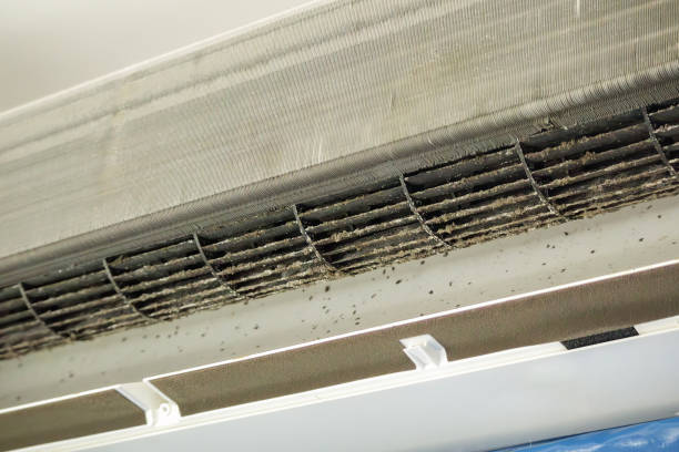 Best Affordable Air Duct Cleaning  in Waikapu, HI